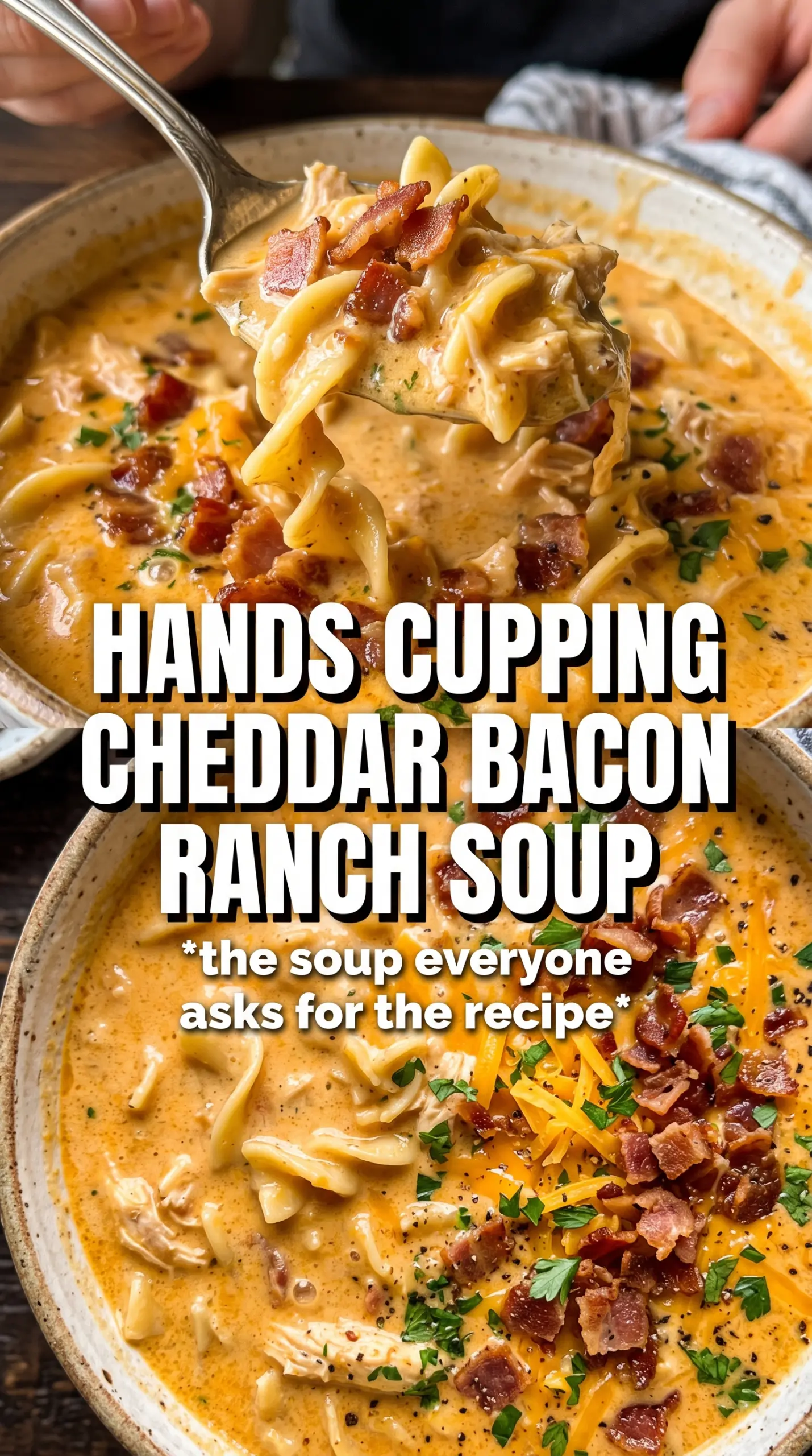 Cheddar Bacon Ranch Chicken Noodle Soup creamy bacon cheddar