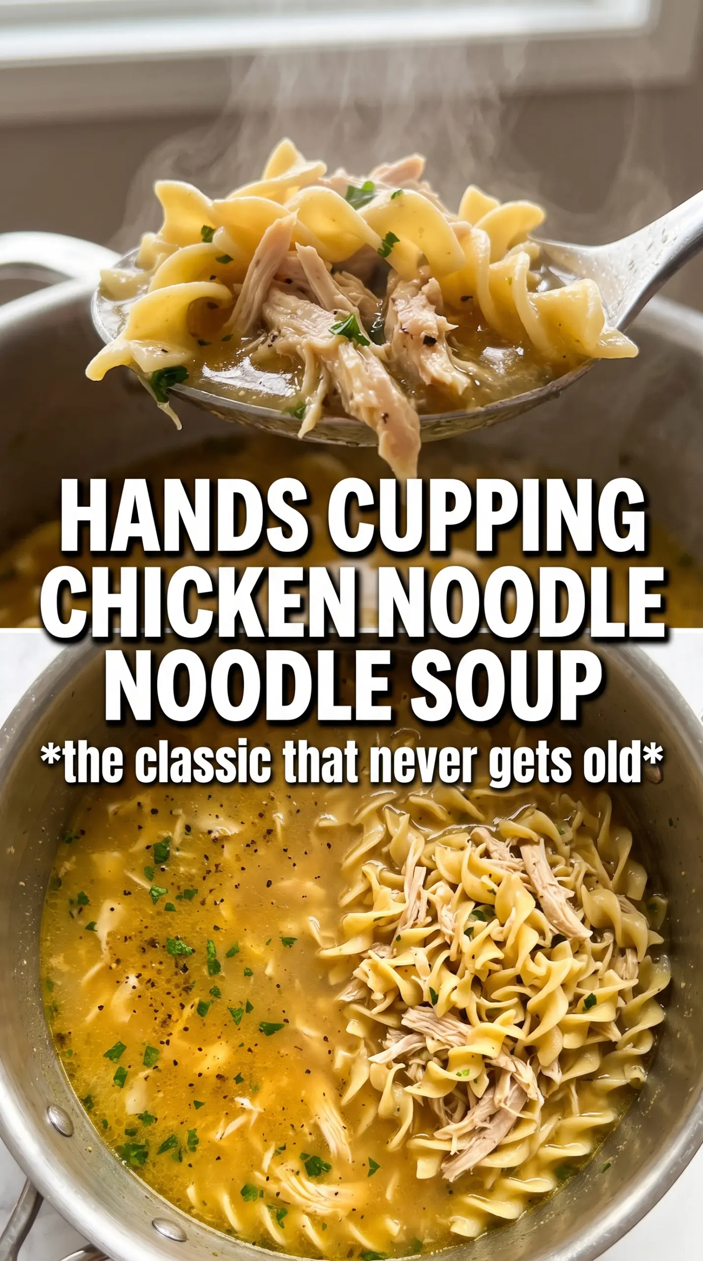 Chicken noodle soup comforting savory