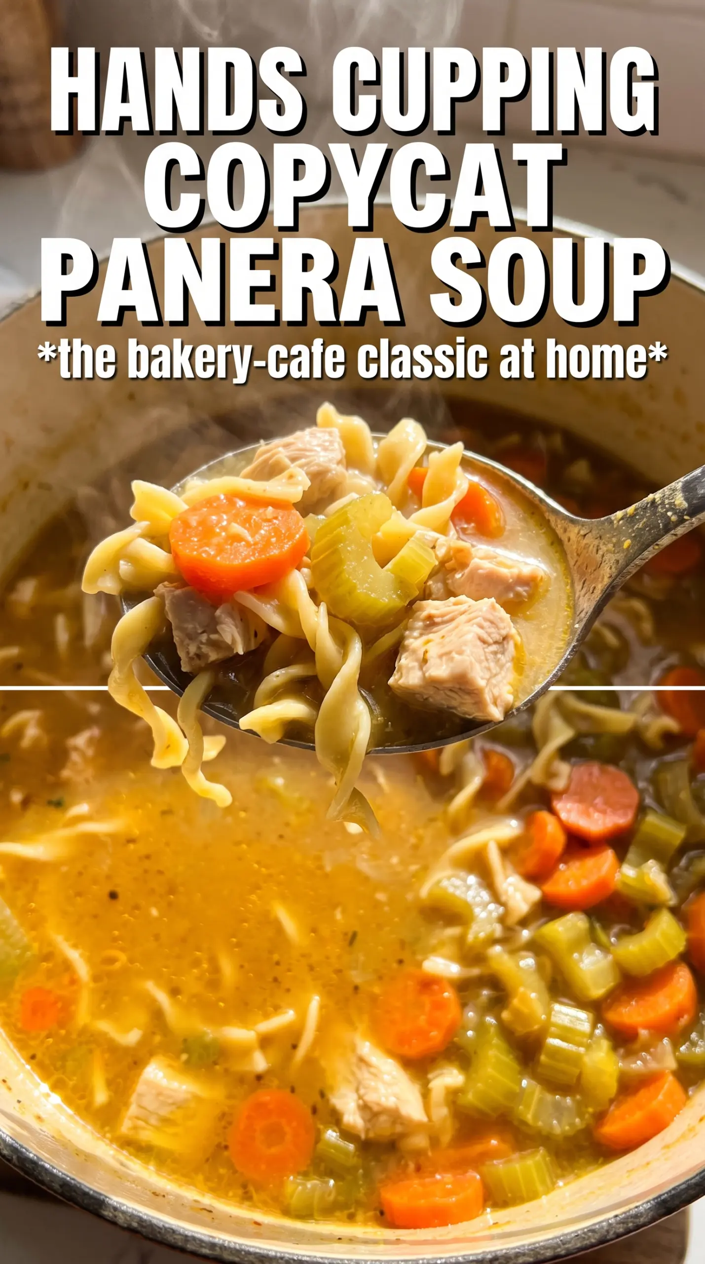 Copycat Panera Bread Chicken Noodle Soup clear broth egg noodles chicken